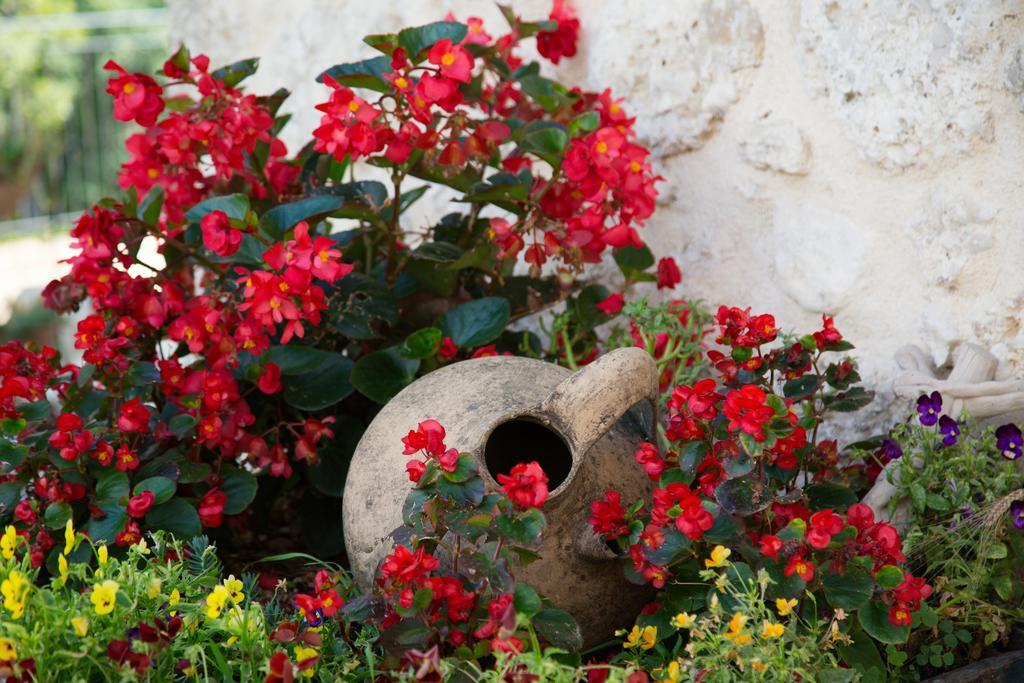 Agriturismo Le Faeta Arpino Exterior photo